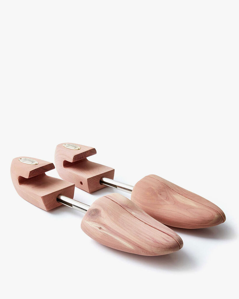 Van Bommel shoe tree