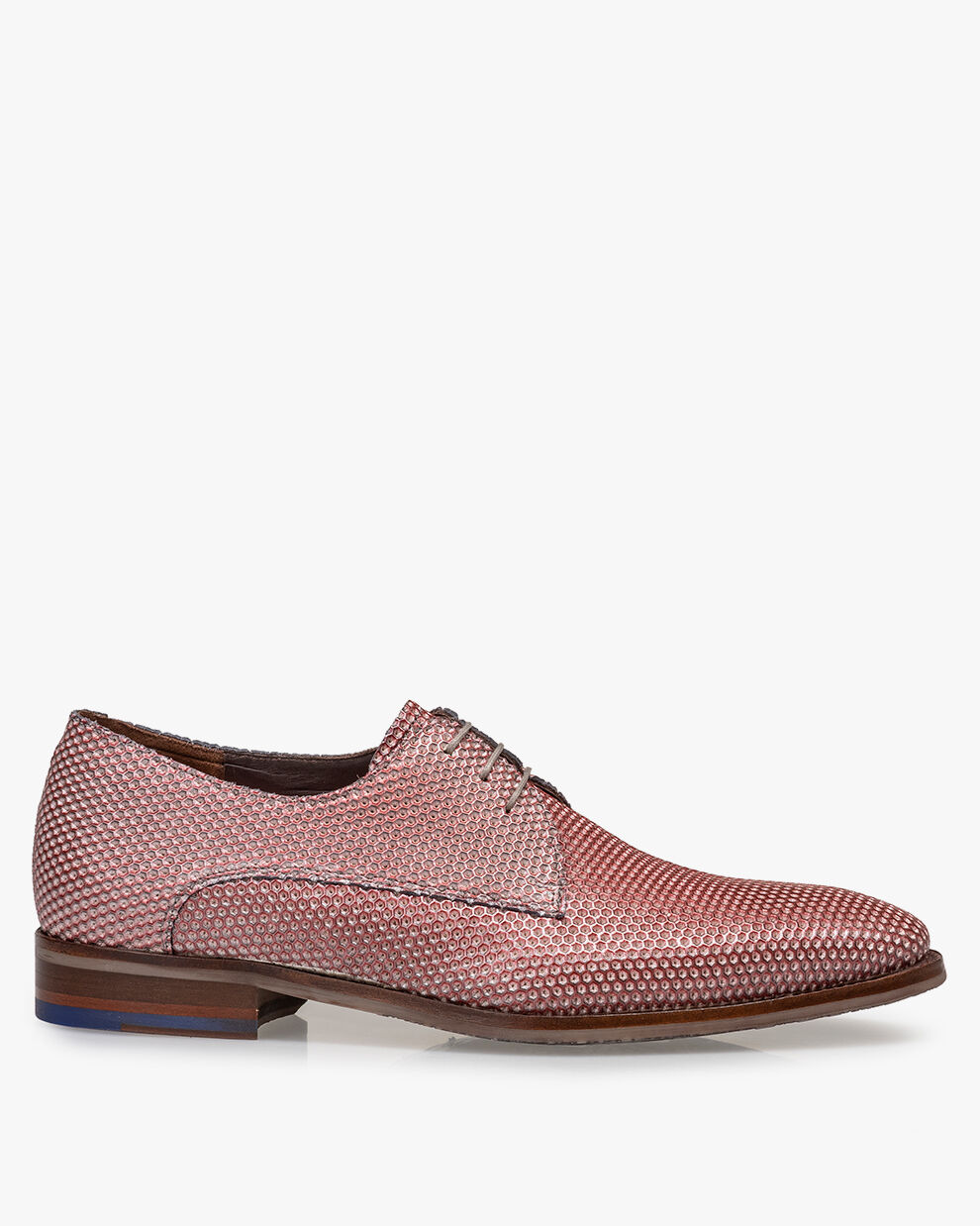 Uitverkoop floris van hot sale bommel