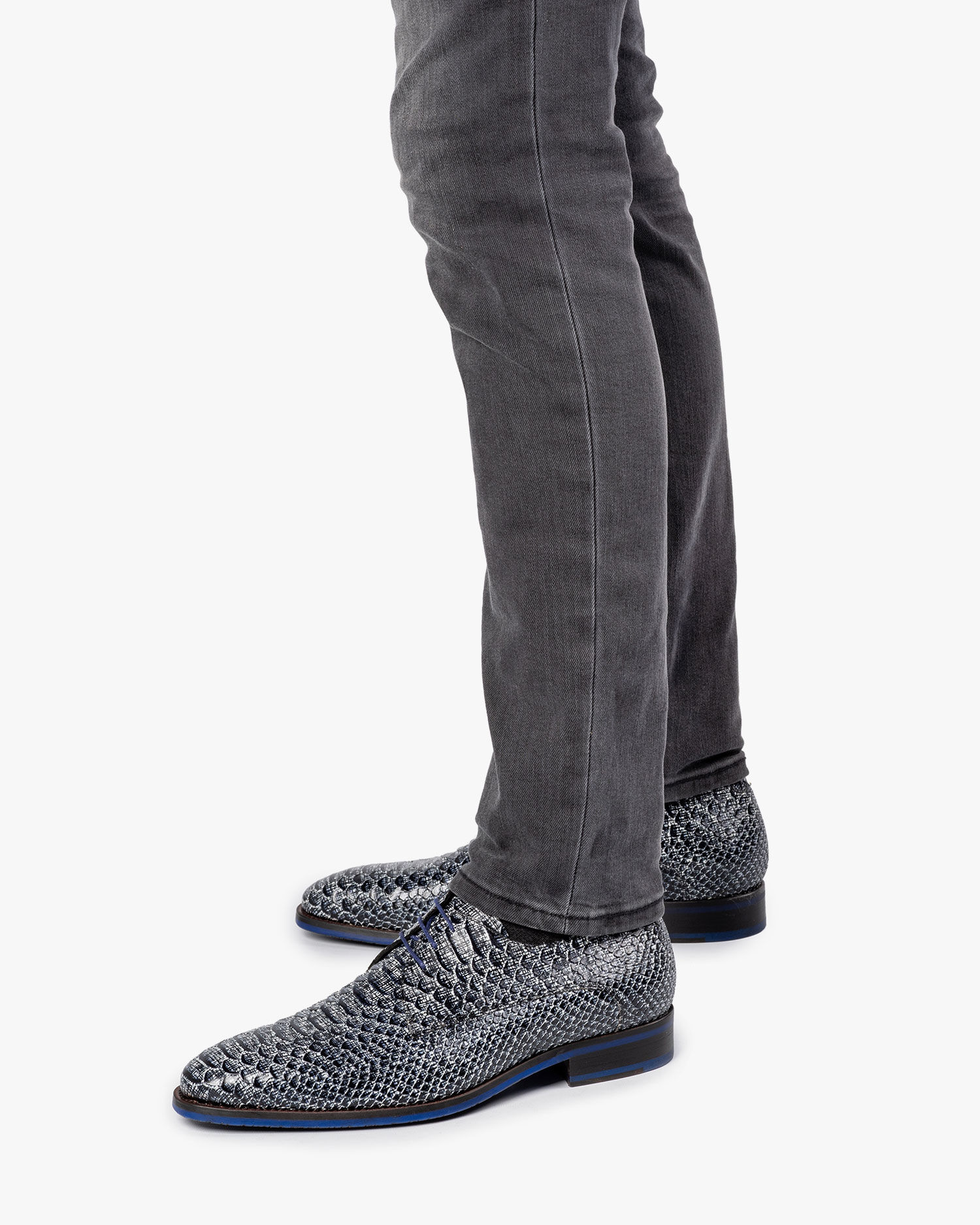 Floris van outlet bommel snake