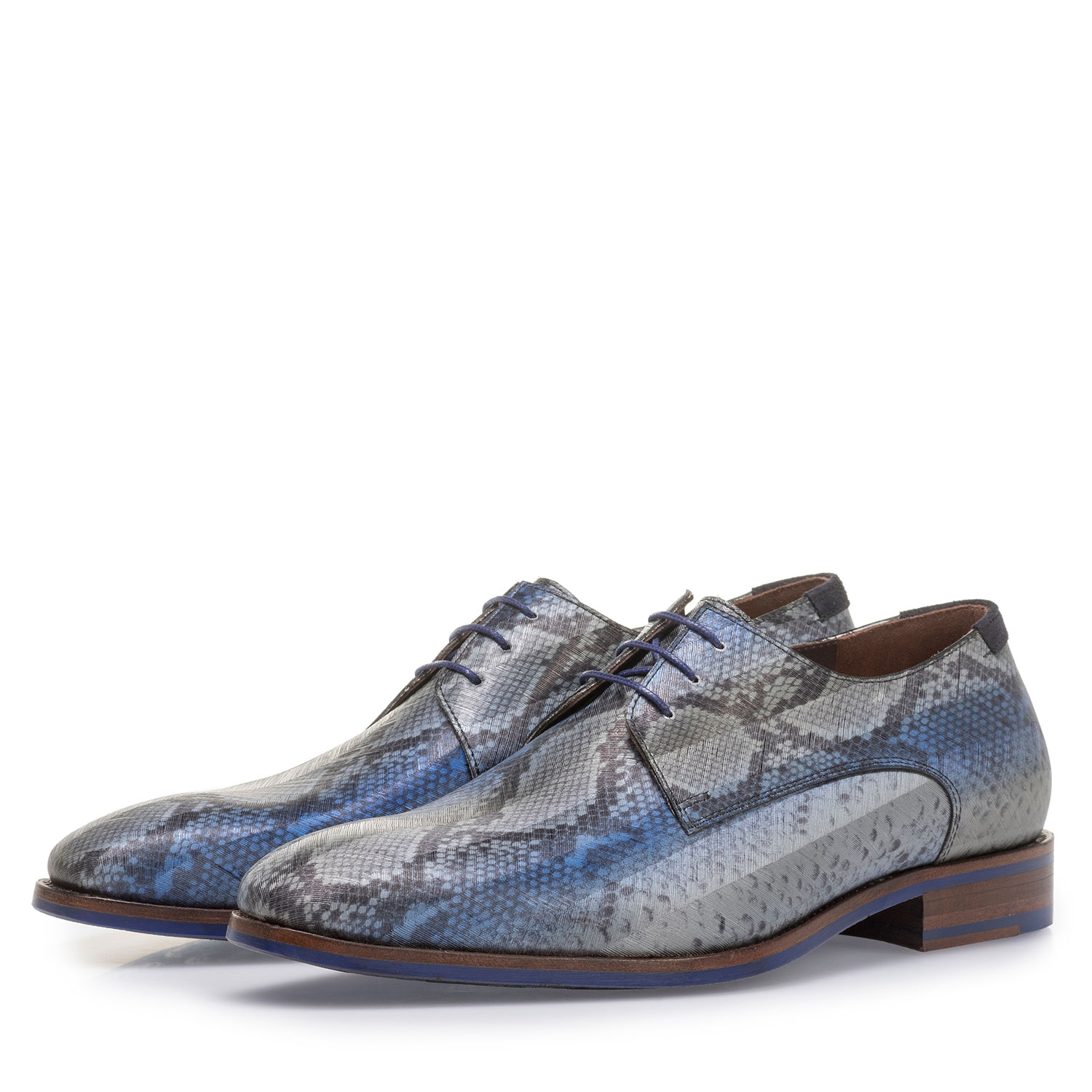 18297/00 - Blue lace shoe with snake print 18297/00 - Blue lace shoe with snake print
