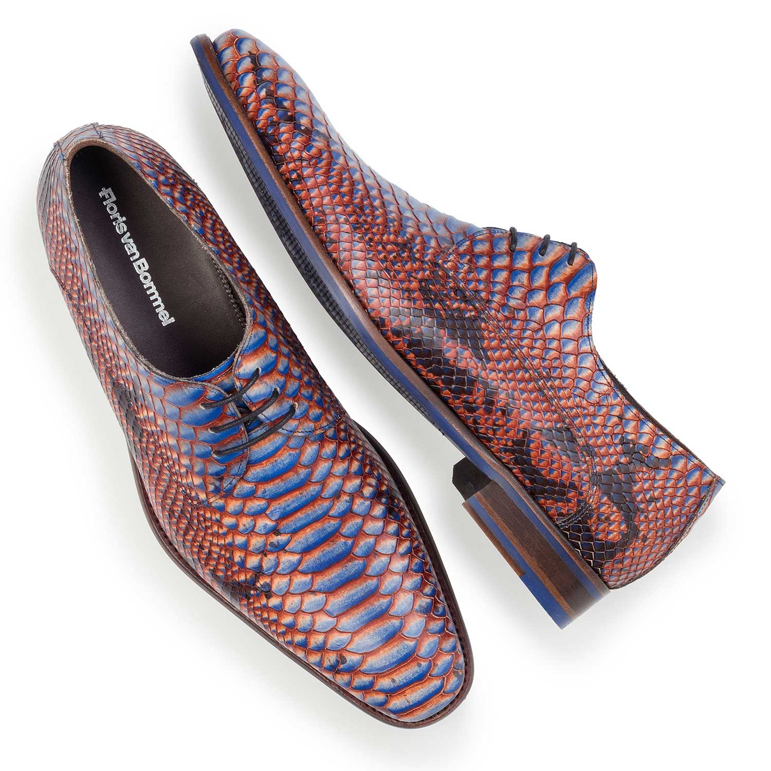 14204/00 - Blue leather lace shoe with snake print 14204/00 - Blue leather lace shoe with snake print