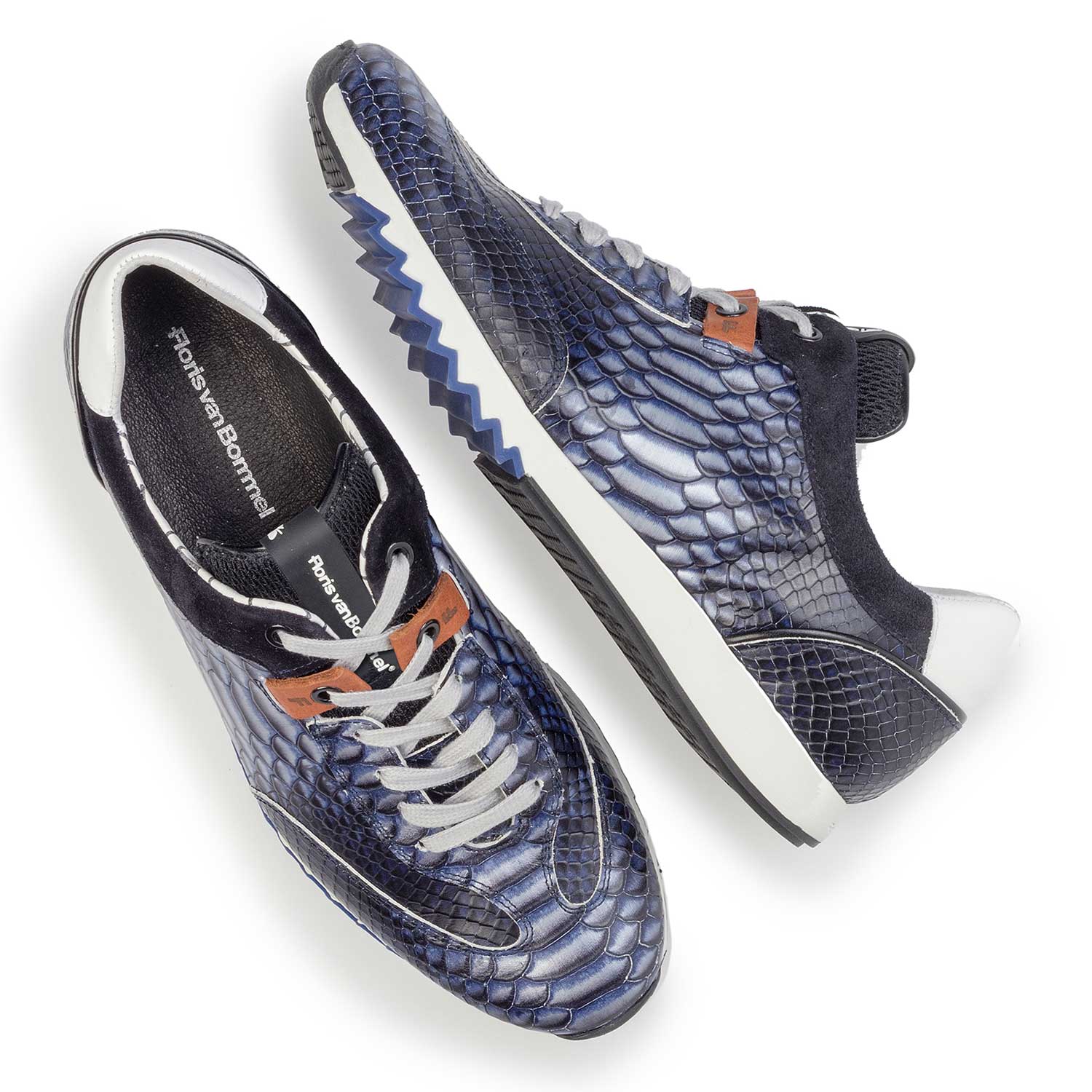 16219/01 - Dark blue calf's leather sneaker with a snake print 16219/01 - Dark blue calf's leather sneaker with a snake print