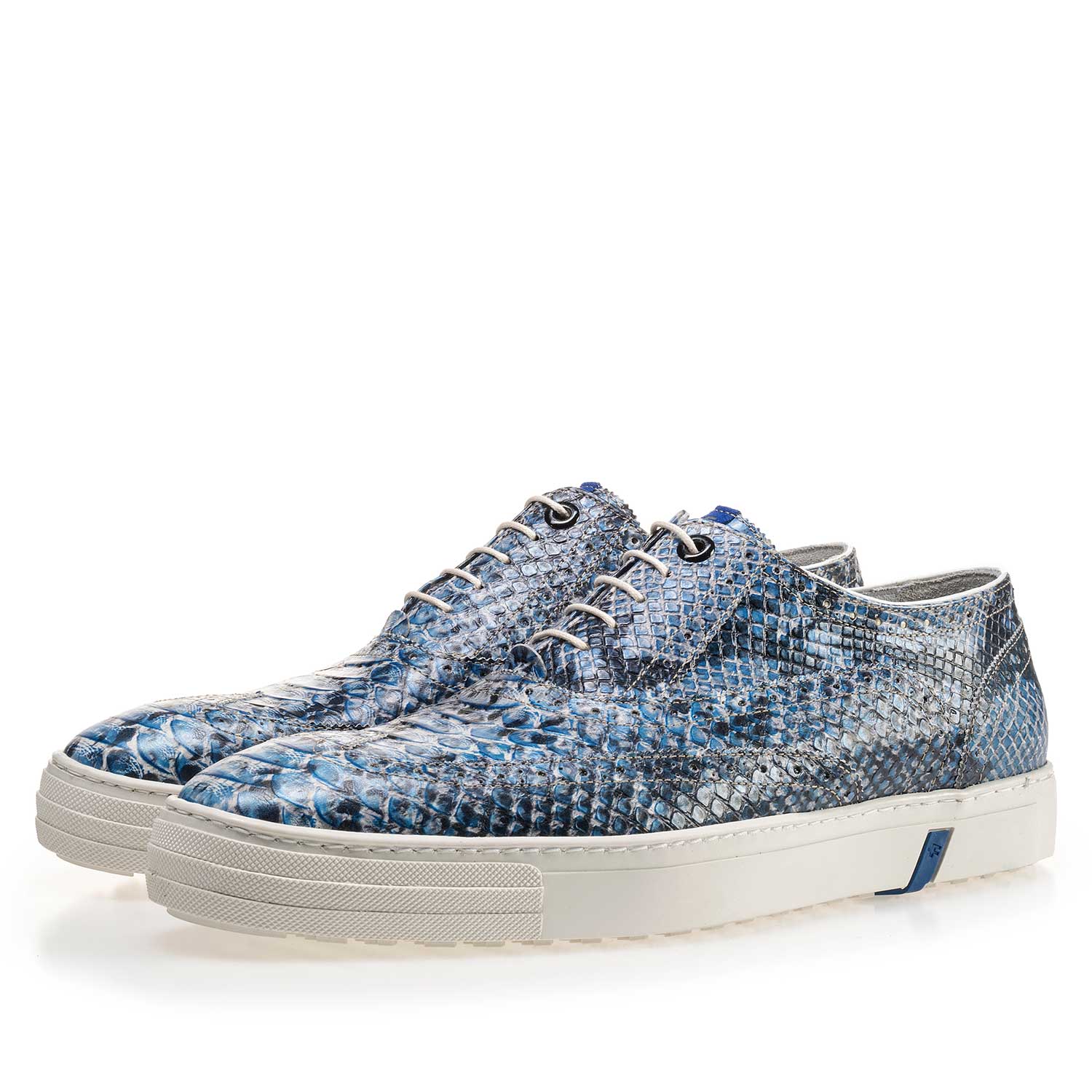 19071/13 - Blue brogue leather sneaker with a snake print 19071/13 - Blue brogue leather sneaker with a snake print