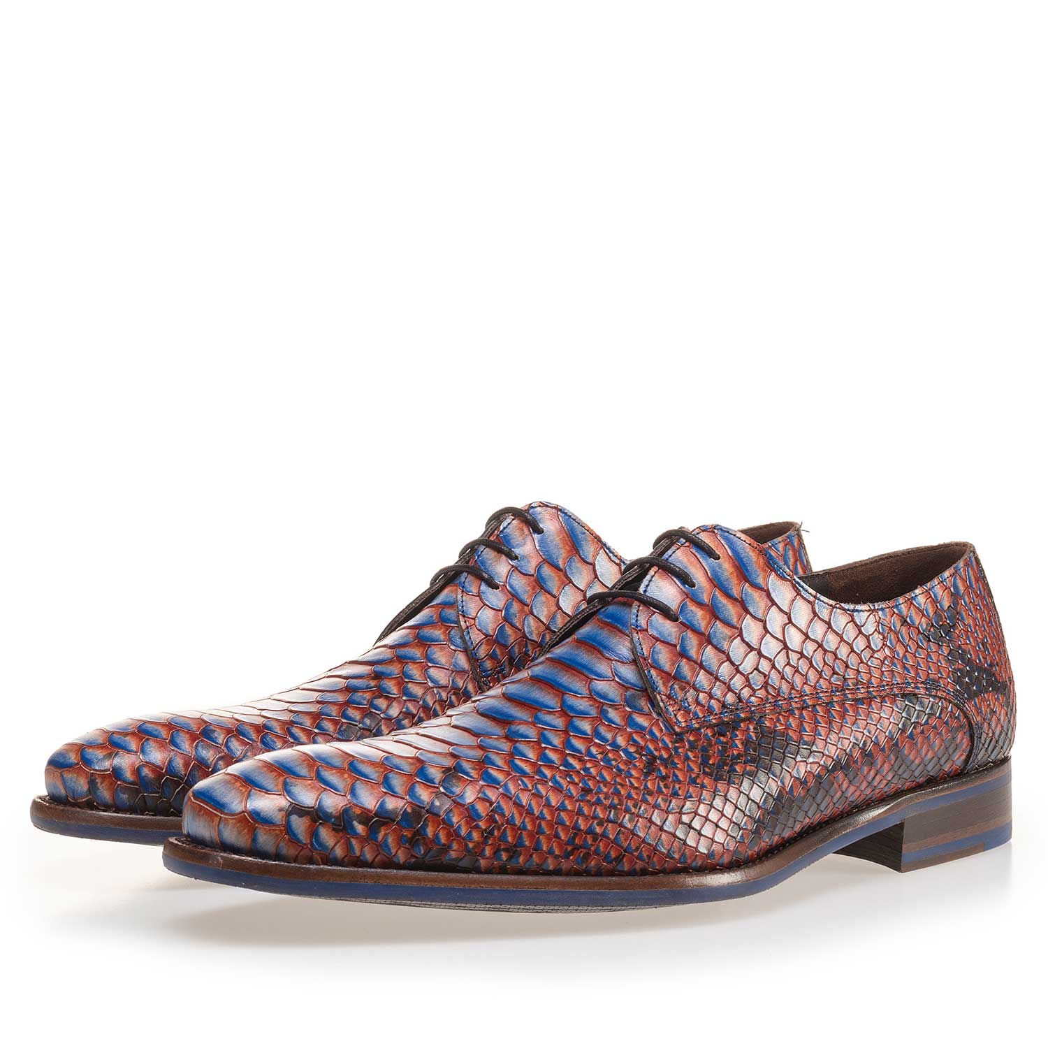 14204/00 - Blue leather lace shoe with snake print 14204/00 - Blue leather lace shoe with snake print