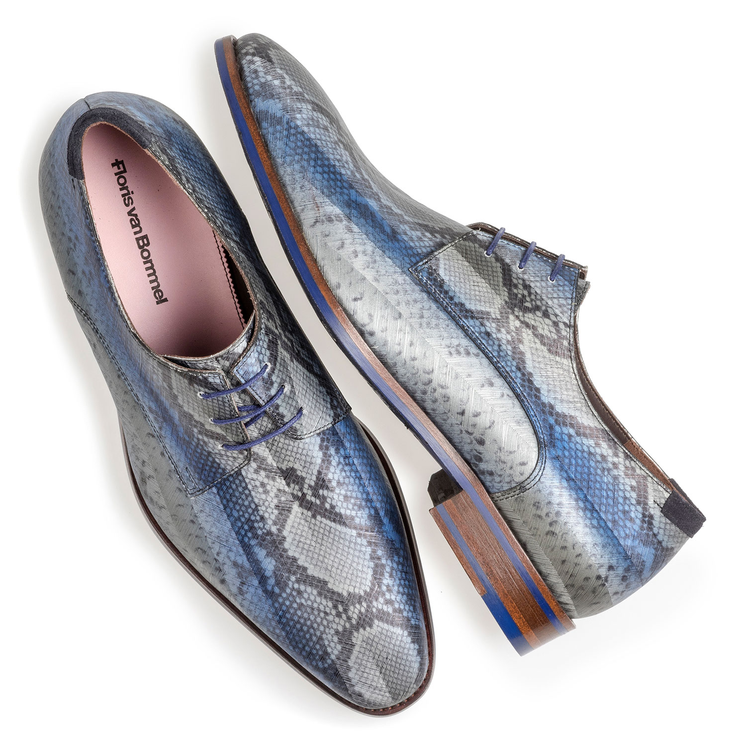 18297/00 - Blue lace shoe with snake print 18297/00 - Blue lace shoe with snake print